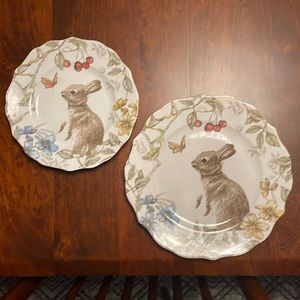 (2) Pier 1 Sofie the Bunny salad plates & (2) Sofie the Bunny dinner plates